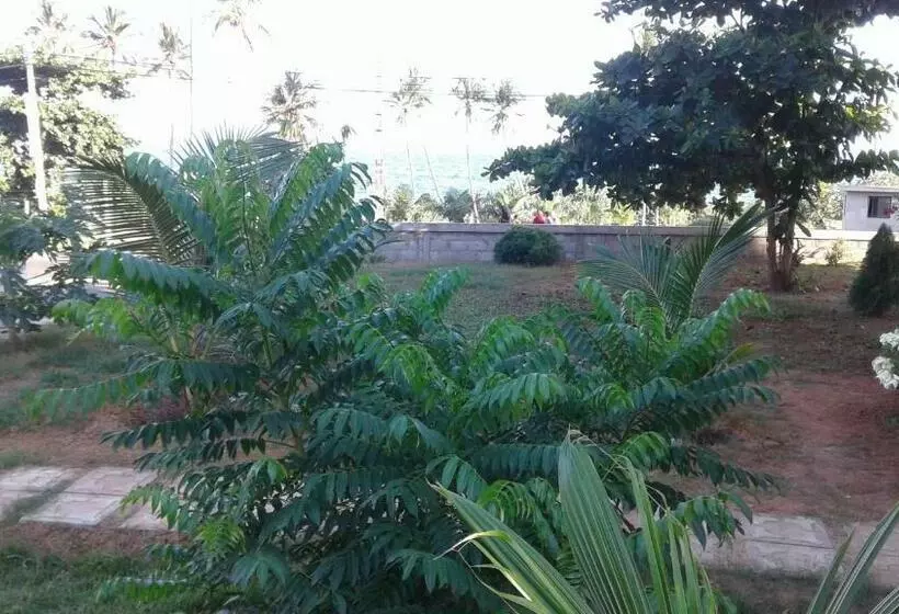 پانسیون Masha Beach Inn