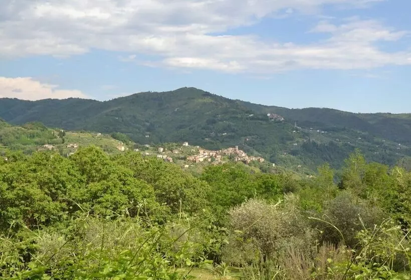 Vintage Cottage In Pescia With Hot Tub