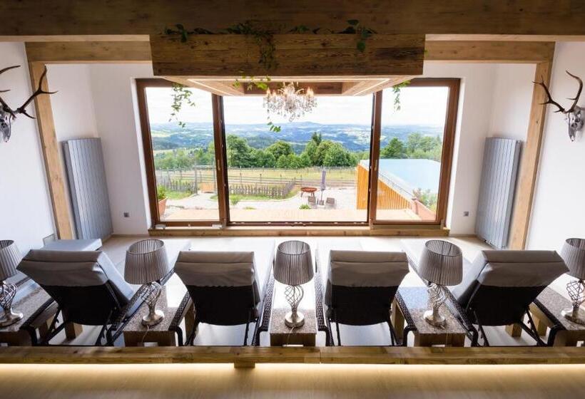 Wellness Hotel V Nebi