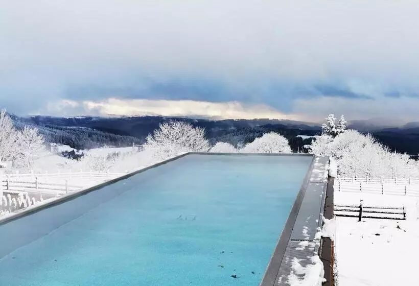 Wellness Hotel V Nebi