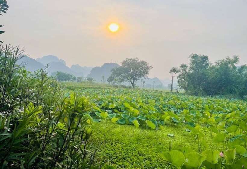هاستل Tam Coc Garden Homestay