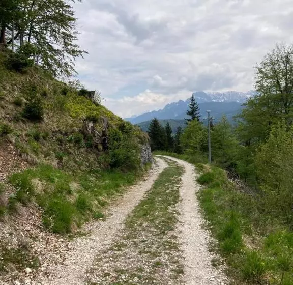 ホテル Adriatico Rooms