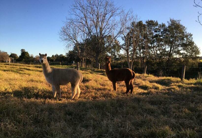 Muswellbrook Northside Bed & Breakfast