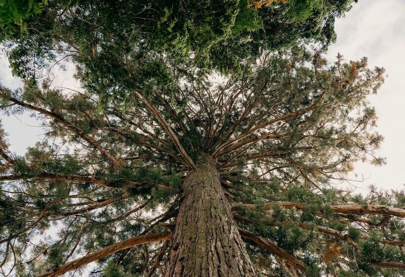 Bienenberg Das Genusshotel Im Grünen Liestal