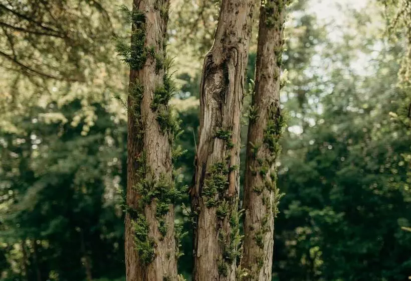 Bienenberg Das Genusshotel Im Grünen Liestal