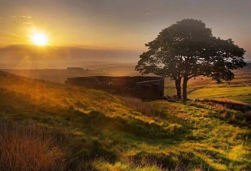 فندق Ashmount Country House