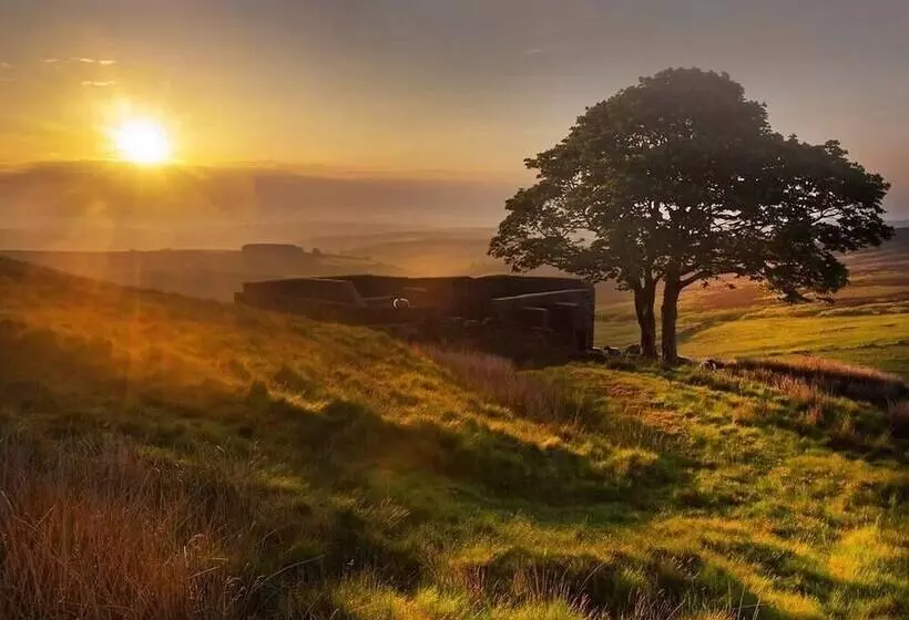 Hotel Ashmount Country House