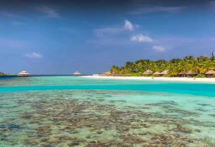 Hotel Kihaa Maldives