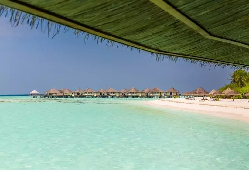 Hotel Kihaa Maldives