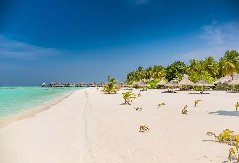 Hotel Kihaa Maldives