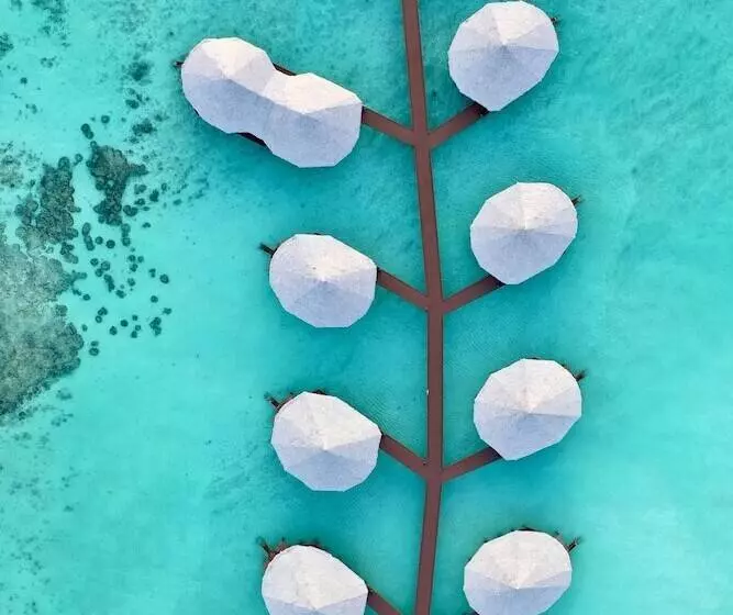 Hotel Kihaa Maldives