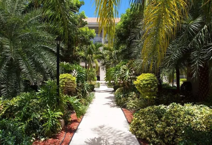 هتل La Vista Azul