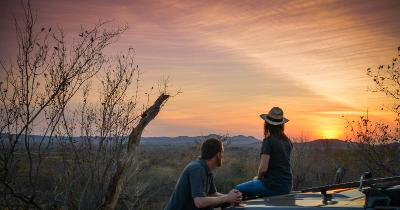 Отель Madikwe Safari Lodge