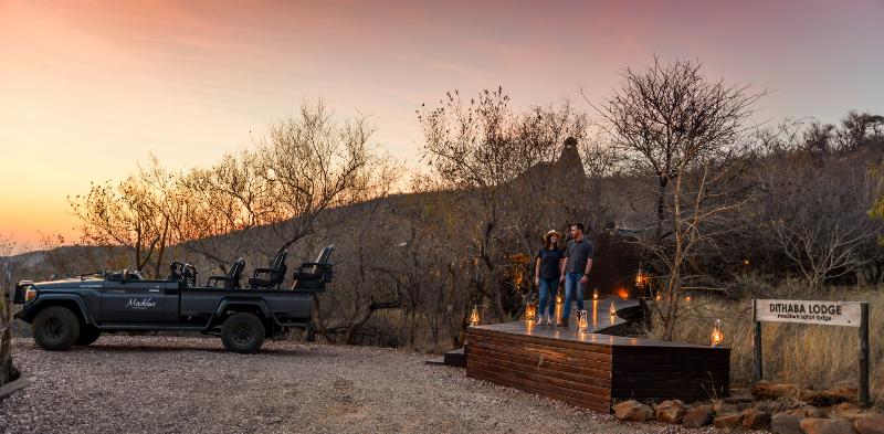 Отель Madikwe Safari Lodge