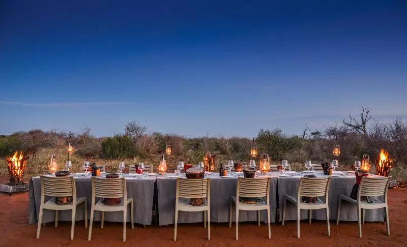 호텔 Madikwe Safari Lodge