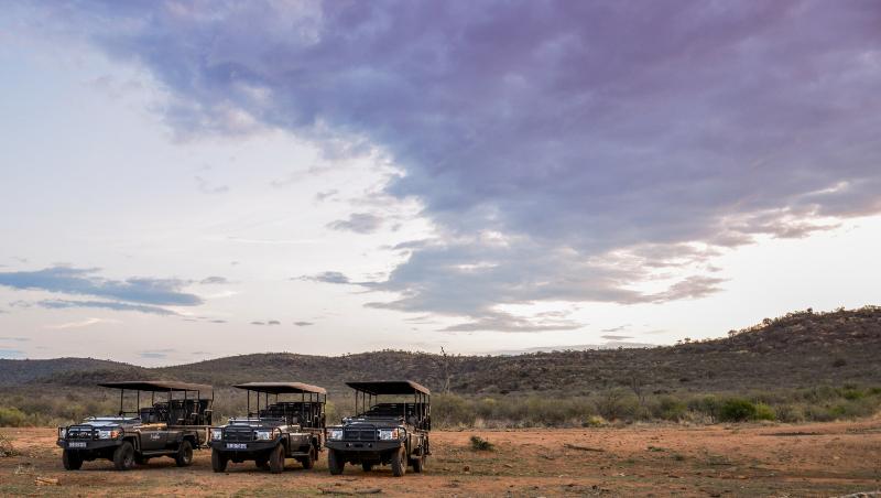 Отель Madikwe Safari Lodge