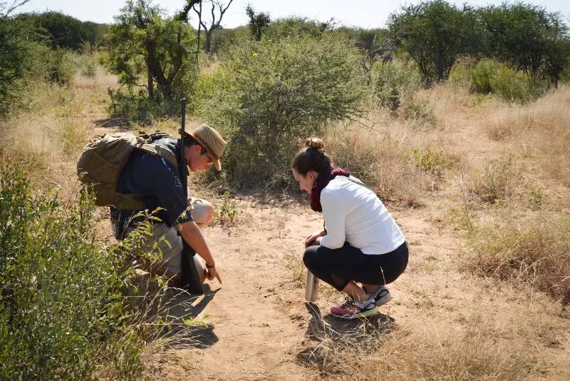 호텔 Madikwe Safari Lodge