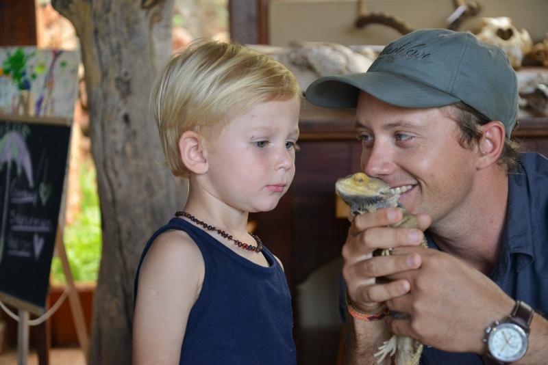 Отель Madikwe Safari Lodge