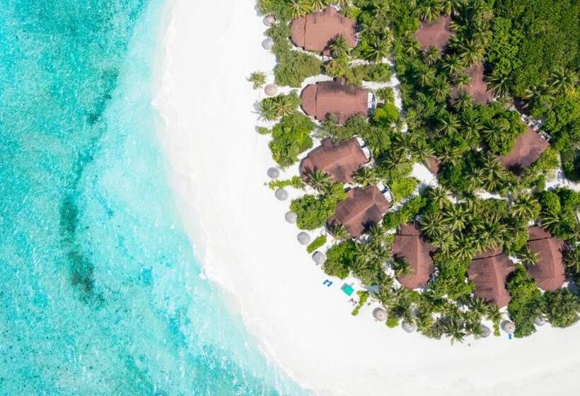 Otel Robinson Maldives  Adults Only