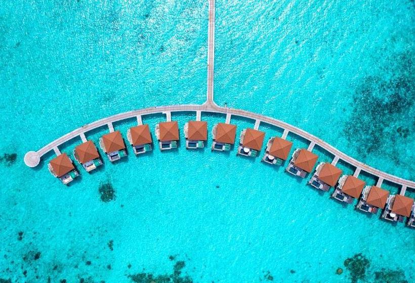 Otel Robinson Maldives  Adults Only