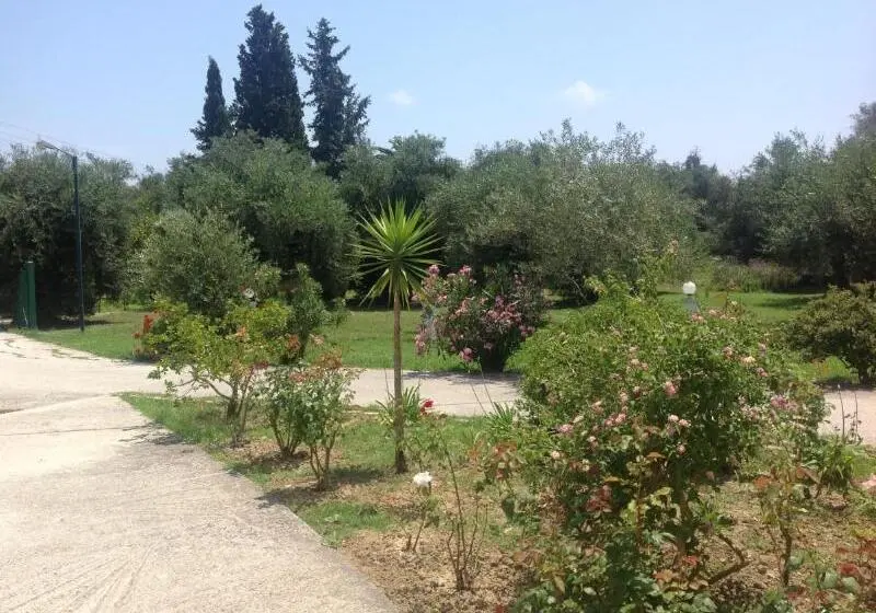 Yianetta Hotel Apartments Kavos