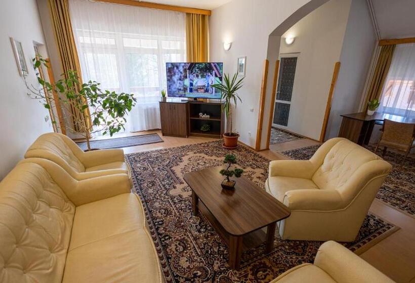 Bed and Breakfast Pensiunea Eden