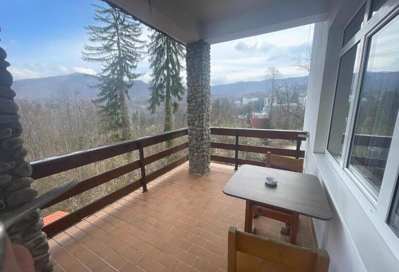 Bed and Breakfast Pensiunea Eden