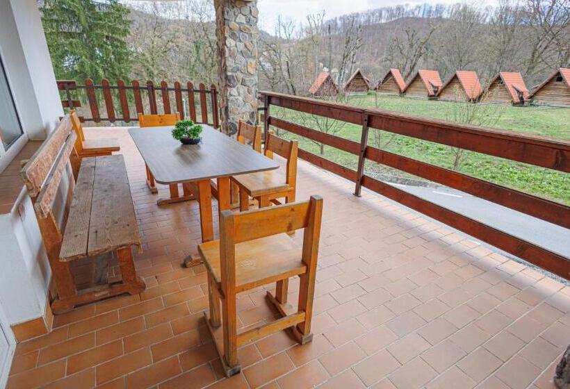 Bed and Breakfast Pensiunea Eden