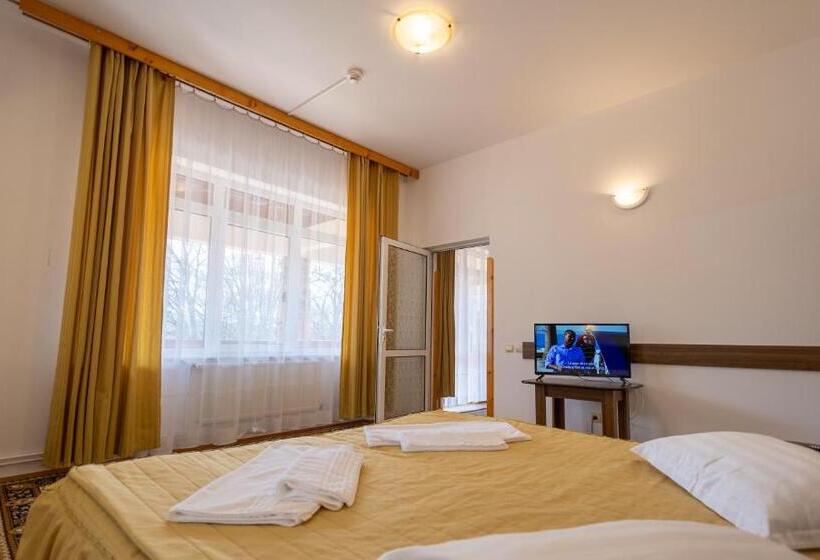 Bed and Breakfast Pensiunea Eden