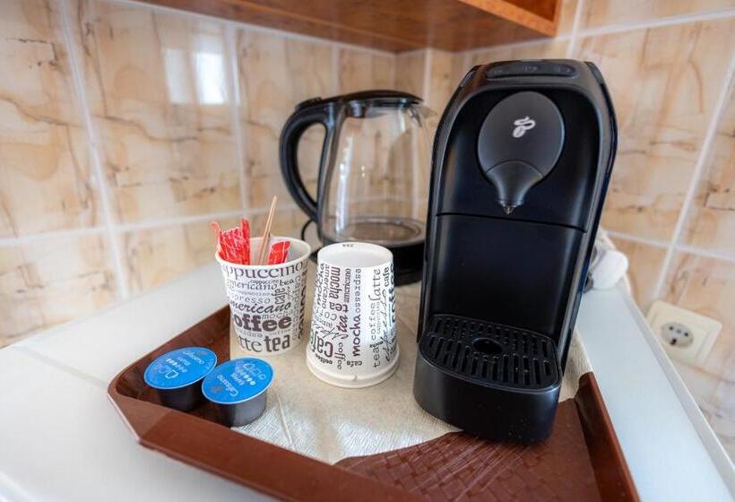 Bed and Breakfast Pensiunea Eden