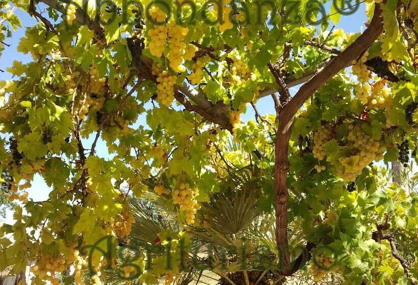 پانسیون Room In B&b   Abbondanza® The Farm House