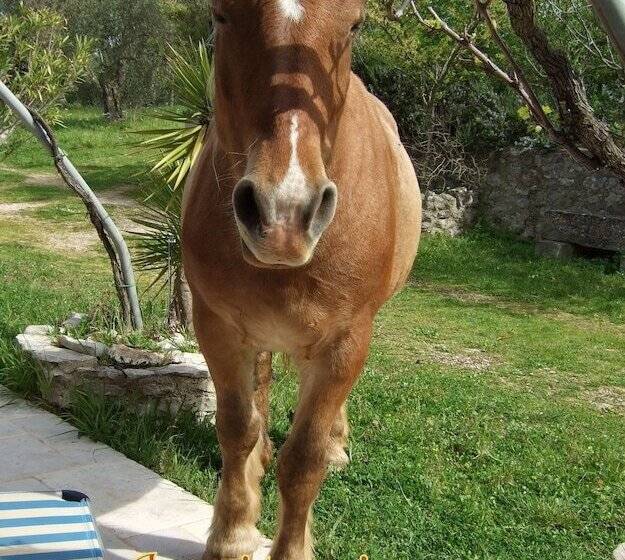 پانسیون Room In B&b   Abbondanza® The Farm House