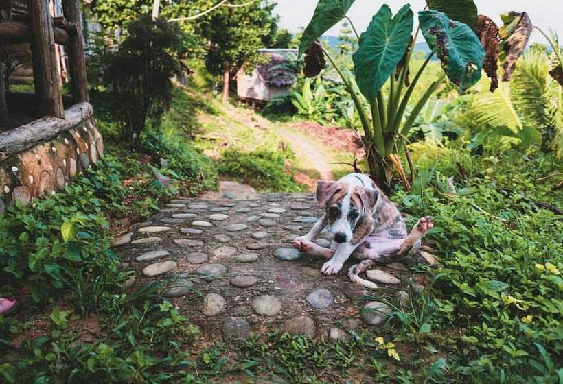 Pensione Jungle Bar Honeymoon Suite & Private Pool