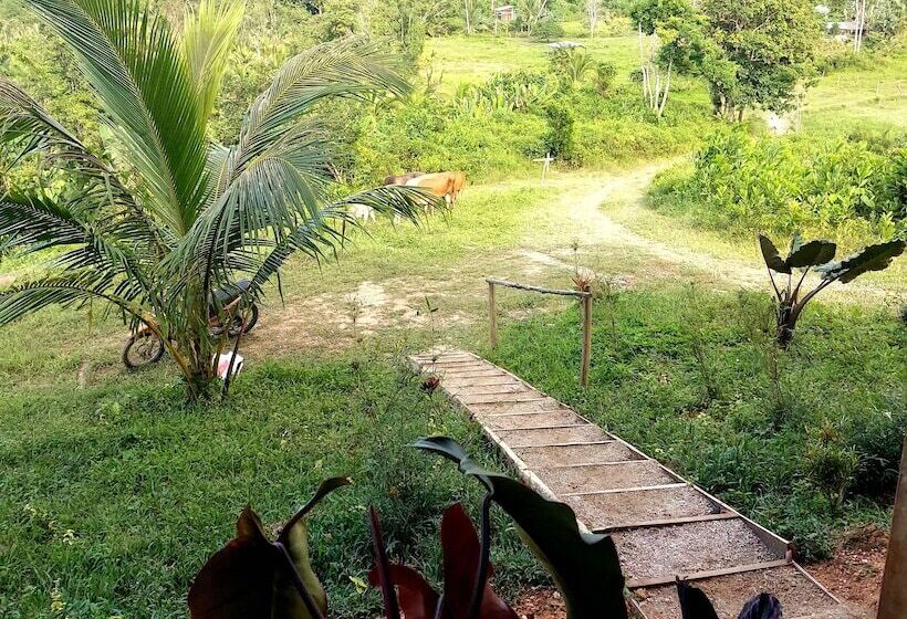 Pensione Jungle Bar Honeymoon Suite & Private Pool