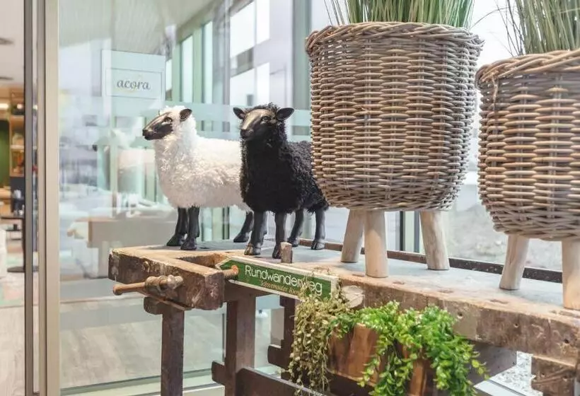 Acora Potsdam Living The City