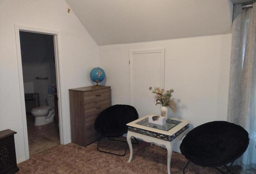 住宿加早餐 Quiet Upstairs Studio Close To Town 420 Friendly