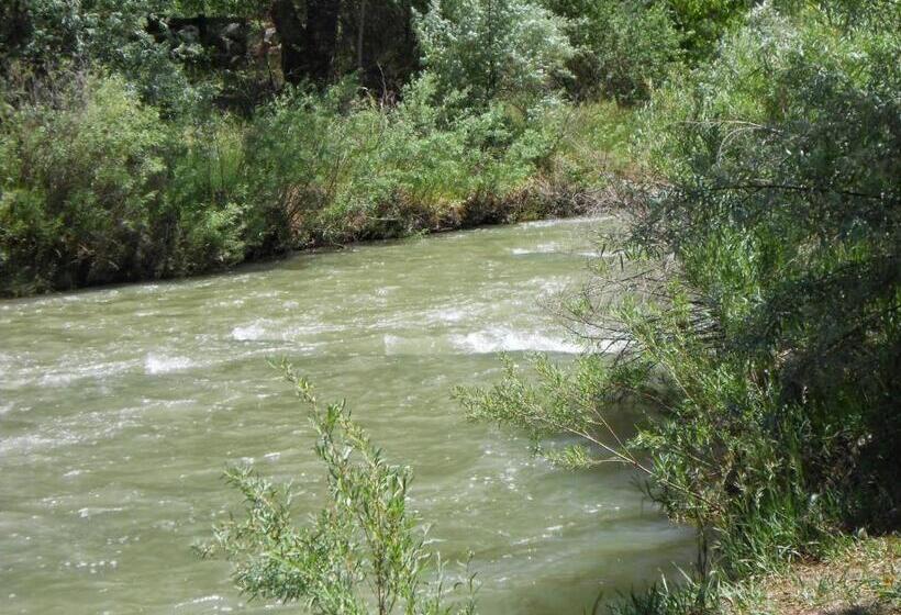 住宿加早餐 Quiet Upstairs Studio Close To Town 420 Friendly