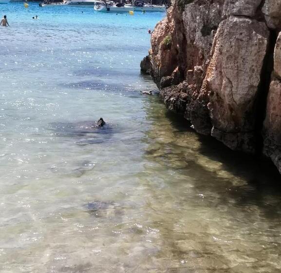 تختخواب و صبحانه Starbal Love