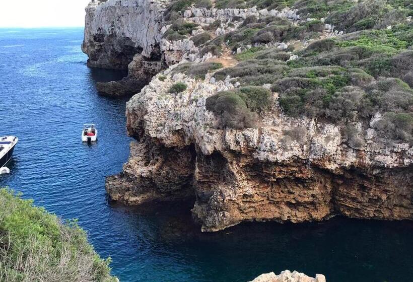 تختخواب و صبحانه Starbal Love