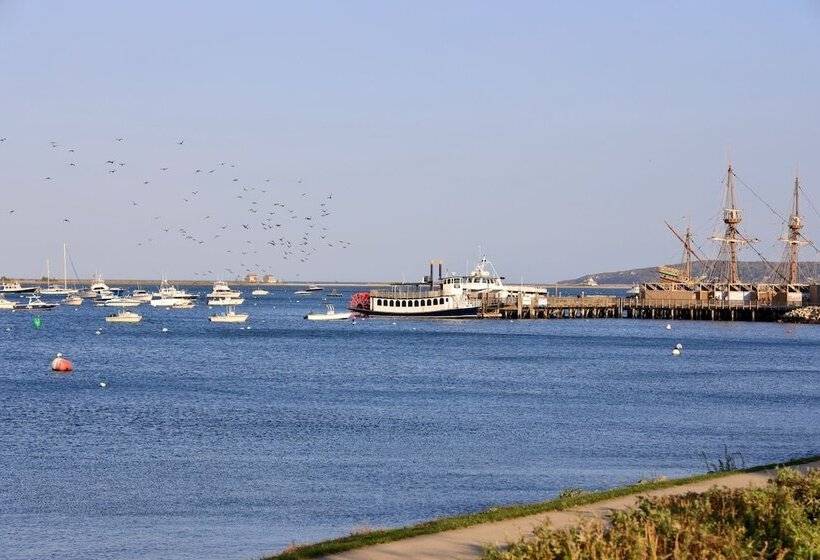 Harbourtown Suite Water View