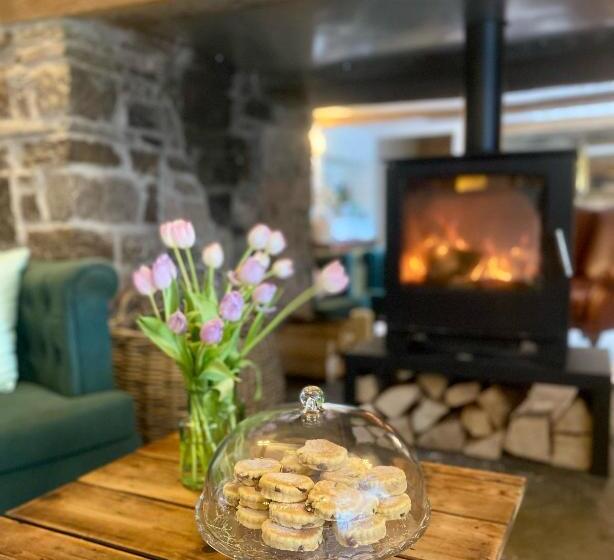 Отель Three Cocks