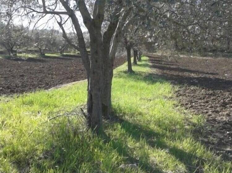 酒店 Agriturismo Barbi