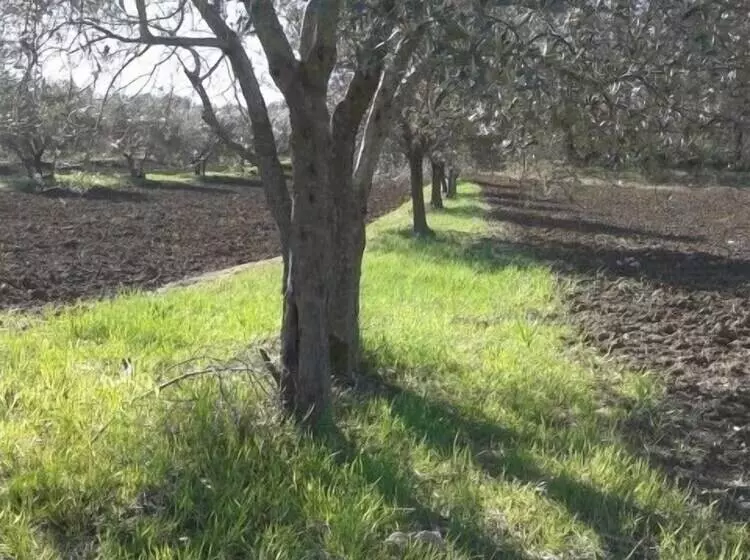 فندق Agriturismo Barbi