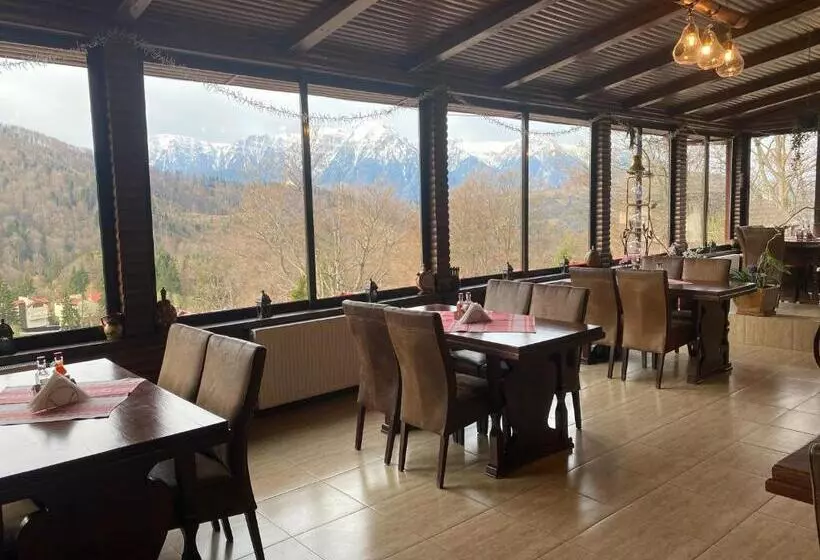 호텔 Cabana Trei Brazi