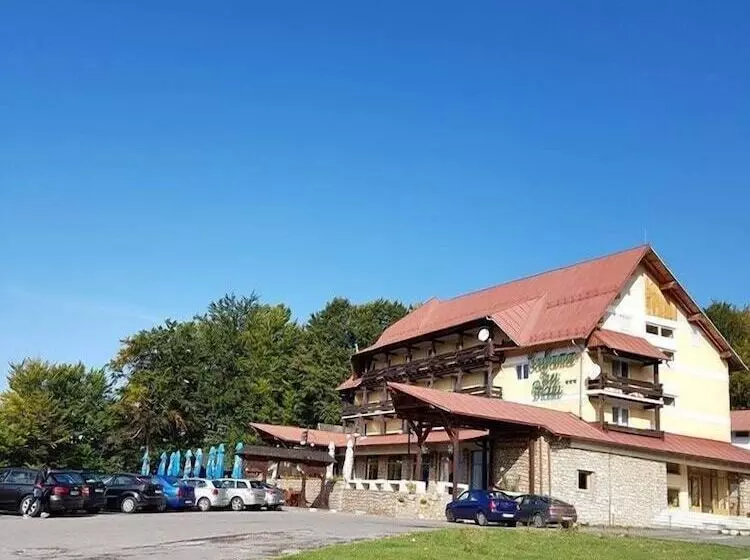 호텔 Cabana Trei Brazi