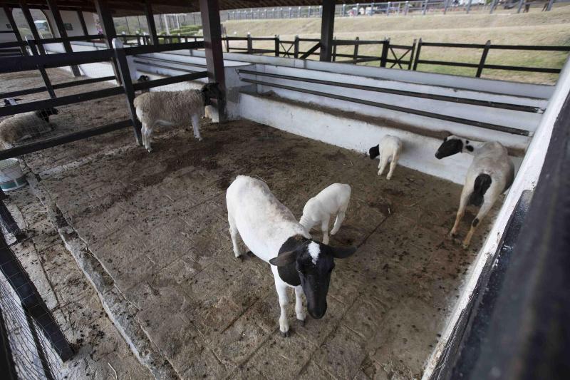 ホテル Flat Monte Castelo