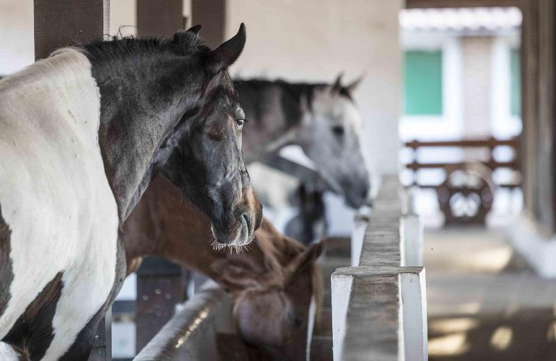 ホテル Flat Monte Castelo