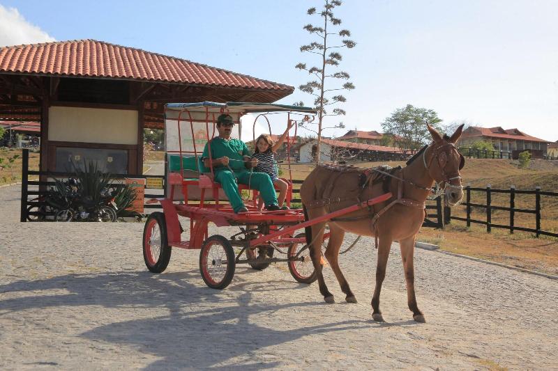 ホテル Flat Monte Castelo