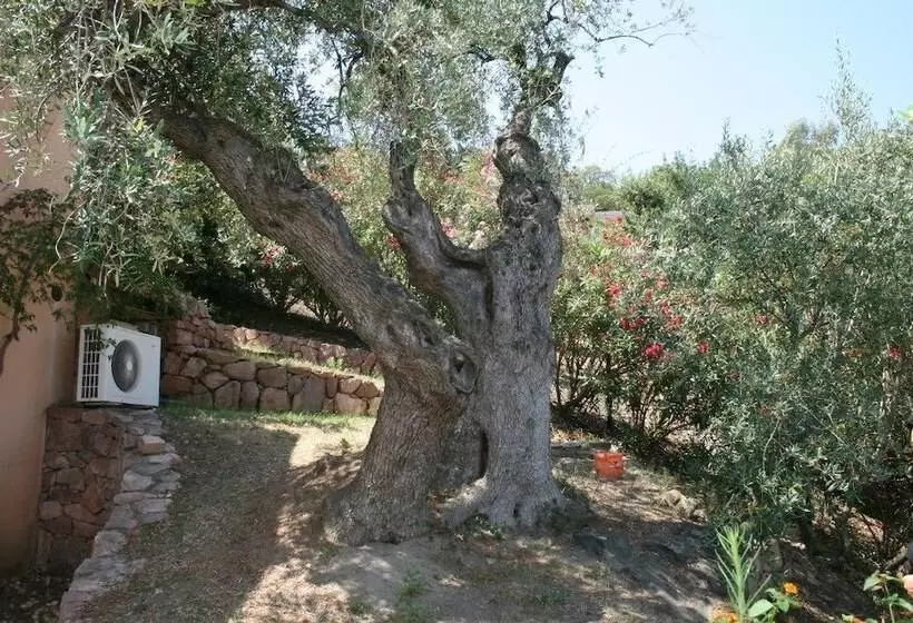 Hotel Genna E Masoni