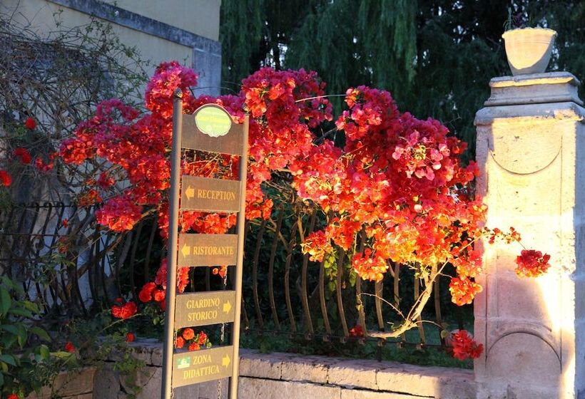 Отель Masseria Case Damma